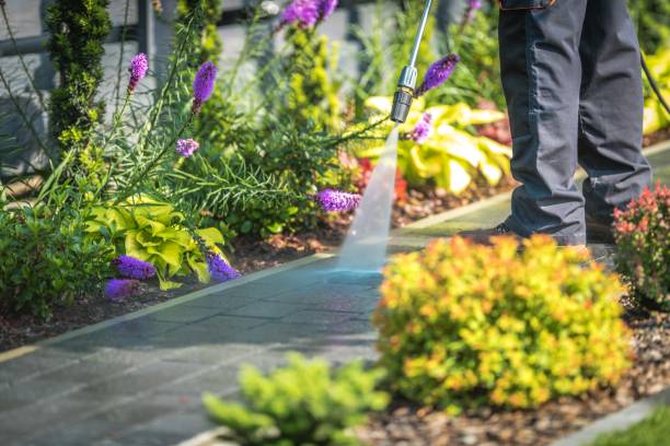 Best Sidewalk and Walkway Cleaning  in Del Rio, CA