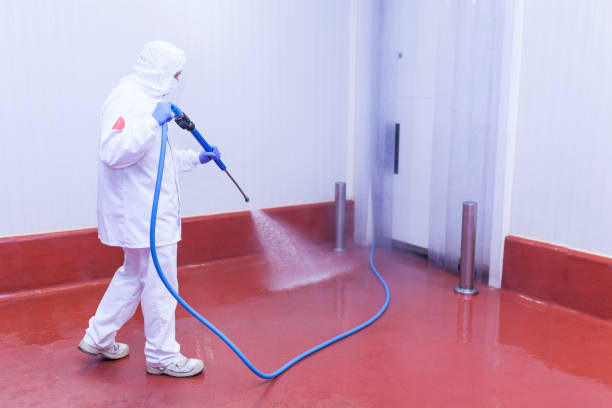Best Factory Floor Cleaning  in Del Rio, CA